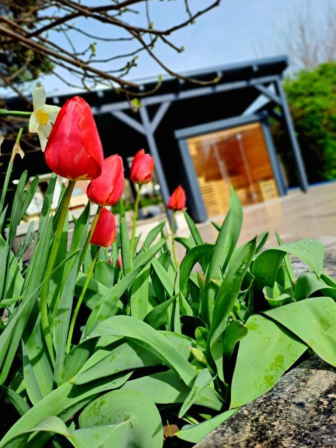 Fuege Villa Luxury & Wellness Balatonfured Ngoại thất bức ảnh
